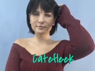 Catefleek