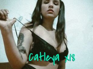 Catleya_x18