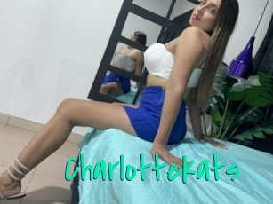 Charlottekats