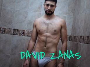 DAVID_ZANAS