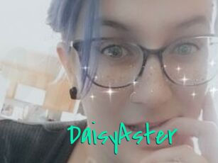 DaisyAster