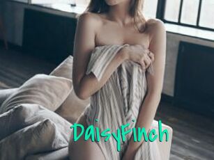 DaisyFinch