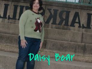 Daisy_Bear