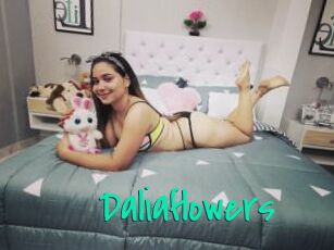 Daliaflowers