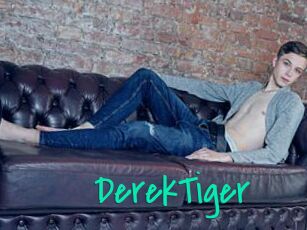 DerekTiger