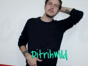 DitrihWild