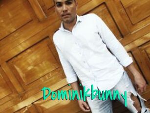 Dominikbunny