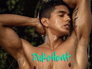 DukeHeat