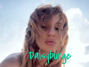 Daisyburge