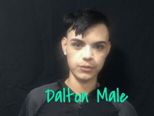 Dalton_Male