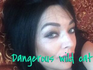 Dangerous_wild_cat