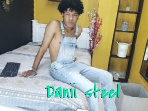 Danii_steel