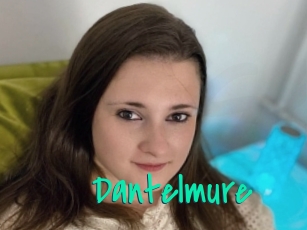 Dantelmure