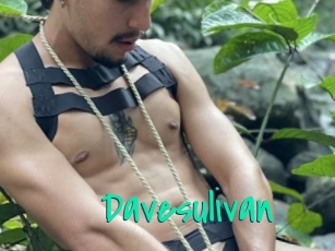 Davesulivan