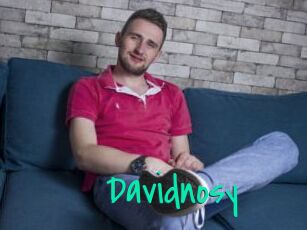 Davidnosy