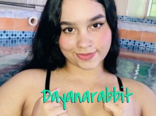 Dayanarabbit