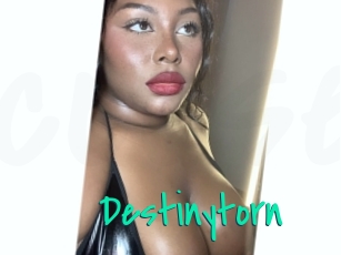 Destinytorn