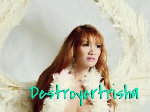 Destroyertrisha