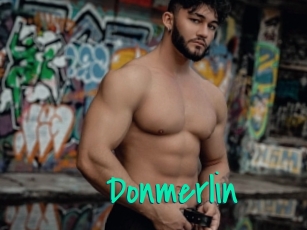 Donmerlin