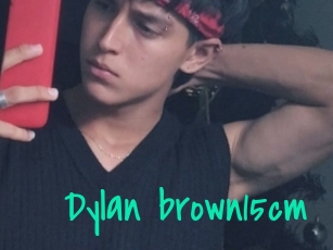 Dylan_brown15cm