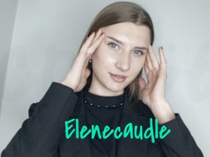 Elenecaudle