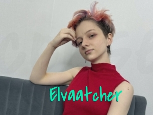 Elvaatcher