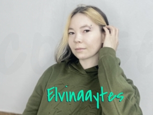 Elvinaaytes