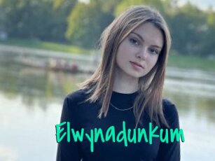 Elwynadunkum