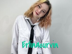 Erlinacurvin