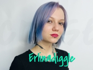 Erlinadiggle