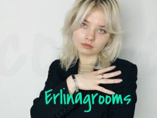 Erlinagrooms