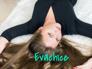 Evachice