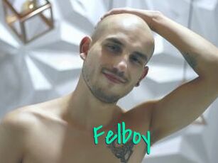 Felboy