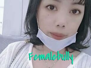 Femalebully