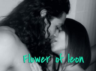 Flower_of_leon