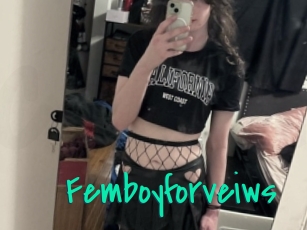 Femboyforveiws