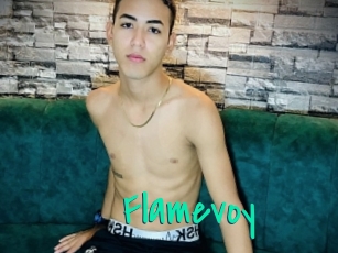 Flamevoy