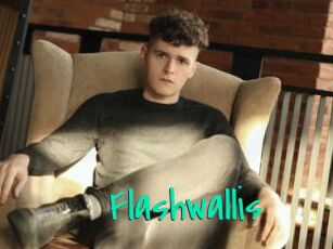 Flashwallis