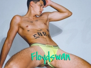 Floydswan