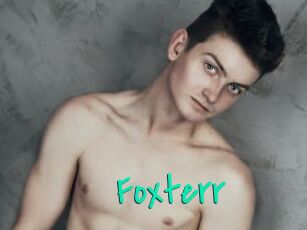 Foxterr
