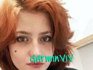 GarminViV