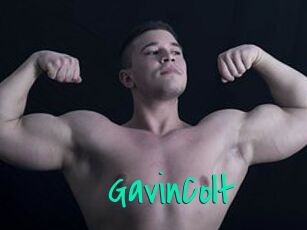 GavinColt