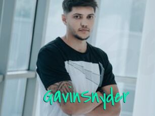 GavinSnyder