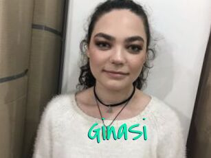 GinaSi