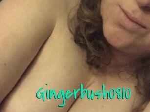 Gingerbush0810