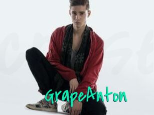 GrapeAnton