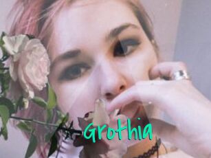 Grothia