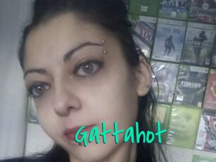 Gattahot