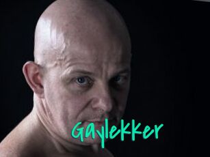 Gaylekker