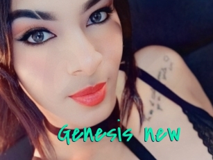 Genesis_new